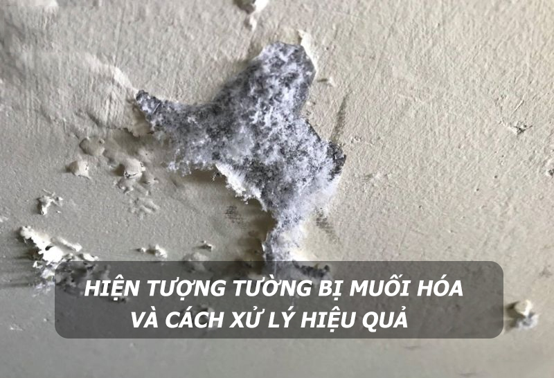 Hiện tượng tường bị muối hóa và cách xử lý hiệu quả