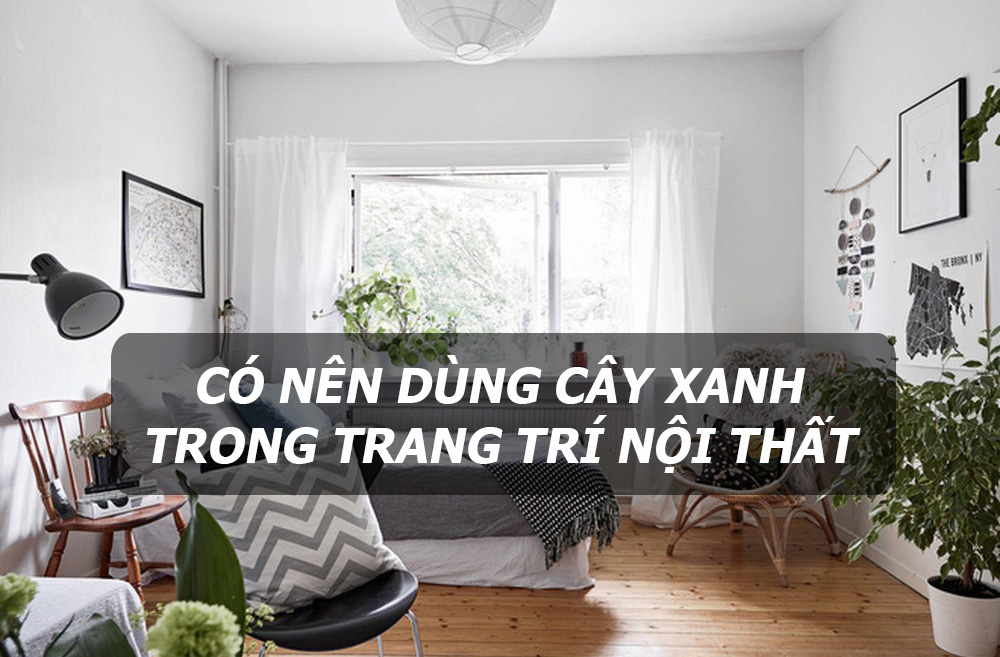 Tư vấn: Có nên dùng cây xanh trong trang trí nội thất?