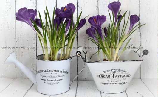 9 kiểu chậu cây giúp vườn thêm đẹp