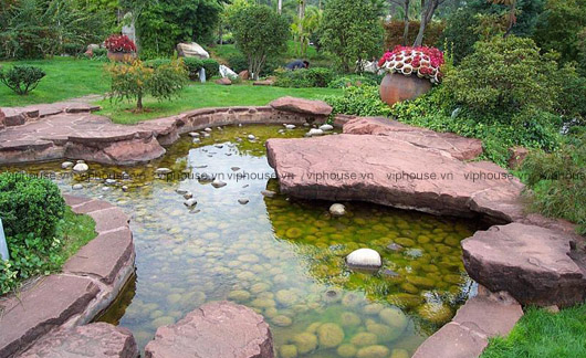 Nước trong thiết kế biệt thự nhà vườn