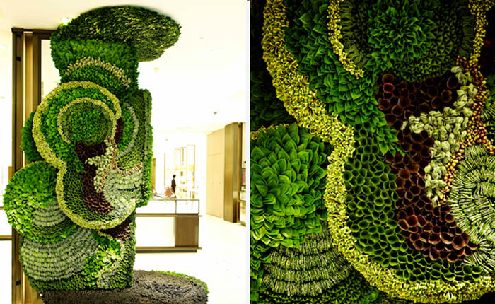 Thiết kế tường cây duyên dáng trong không gian sống