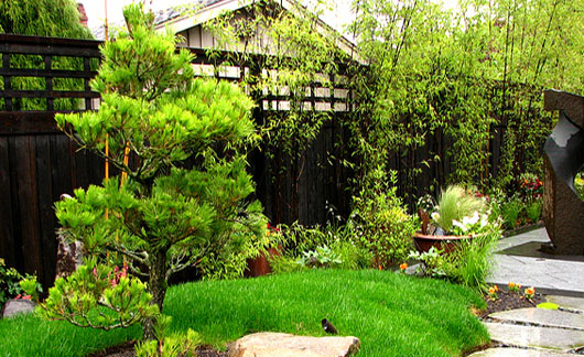 Thiết kế sân vườn diện tích nhỏ